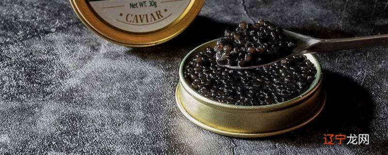 鱼子酱是什么鱼产出来的