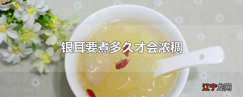 银耳要煮多久才会浓稠