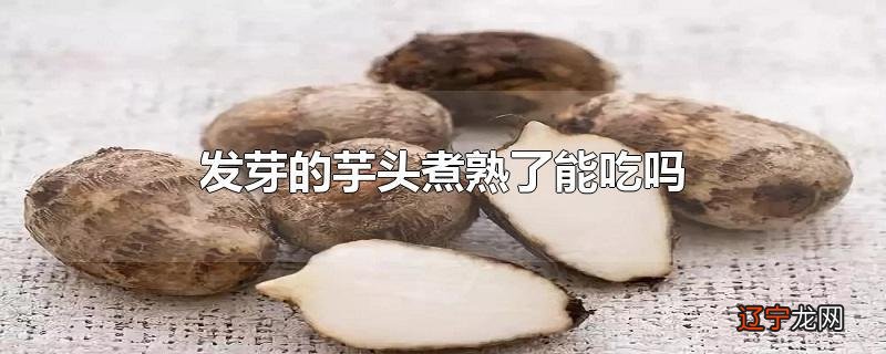 发芽的芋头煮熟了能吃吗