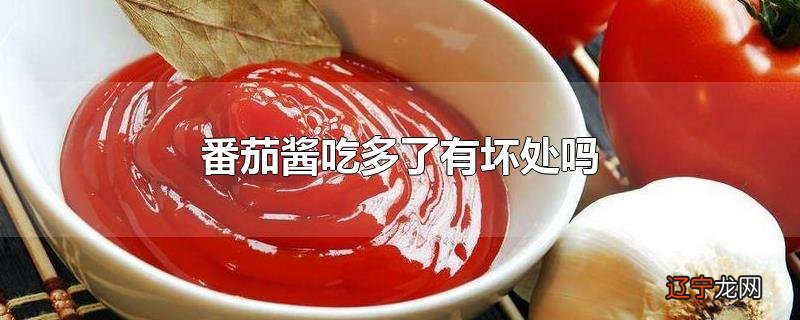 番茄酱吃多了有坏处吗