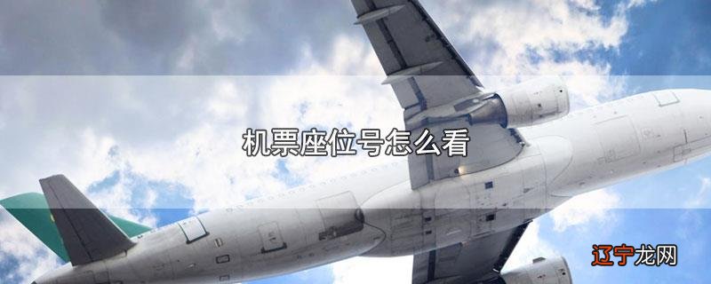飞机票座位号怎么看
