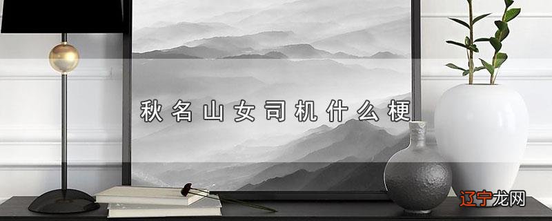 秋名山女司机什么梗