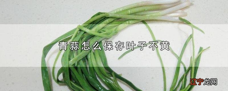 青蒜怎么保存叶子不黄