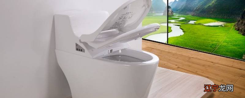 疏通马桶小诀窍