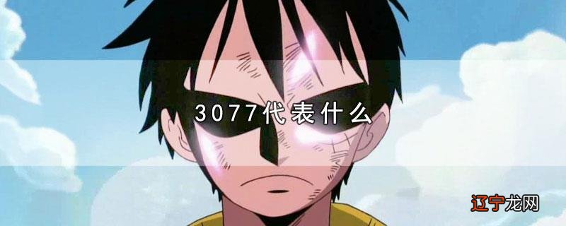 3077代表什么