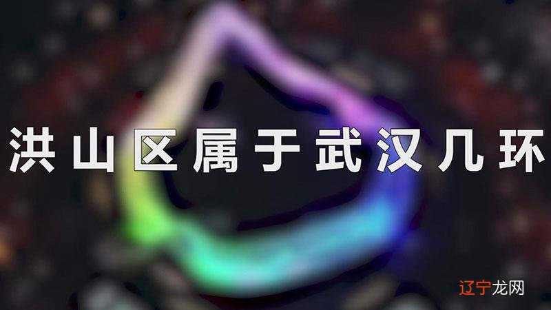 洪山区属于武汉几环