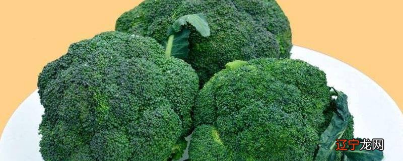 水煮菜可以煮哪些菜