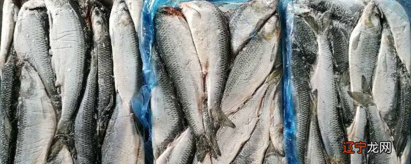 鲱鱼什么味道