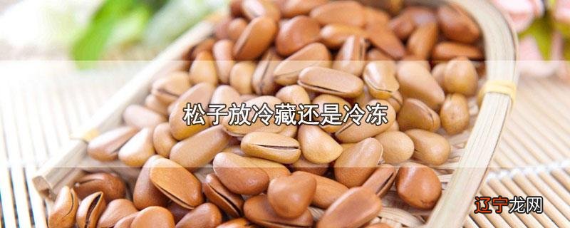 松子放冷藏还是冷冻