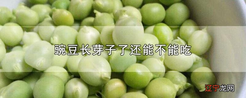 豌豆长芽子了还能不能吃