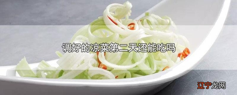 调好的凉菜第二天还能吃吗