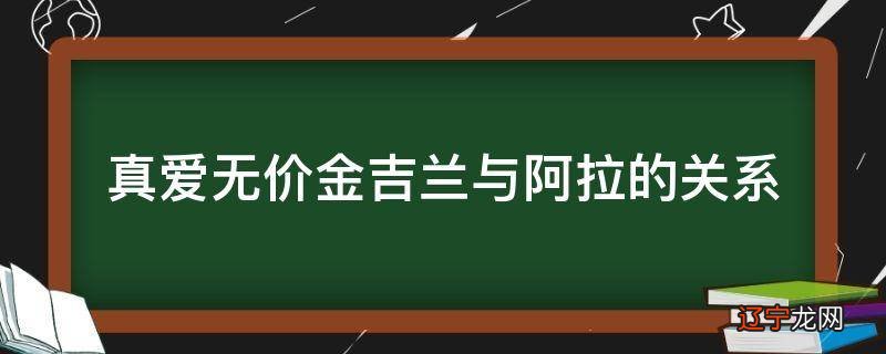 真爱无价金吉兰与阿拉的关系