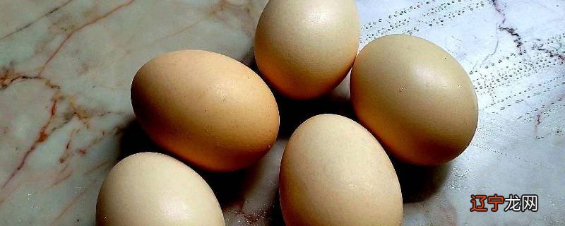 怎么判断孵的蛋还活着