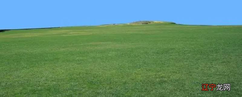 草地变颜色是因为什么