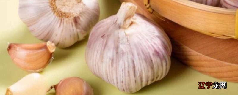 大蒜冷藏能保存多久