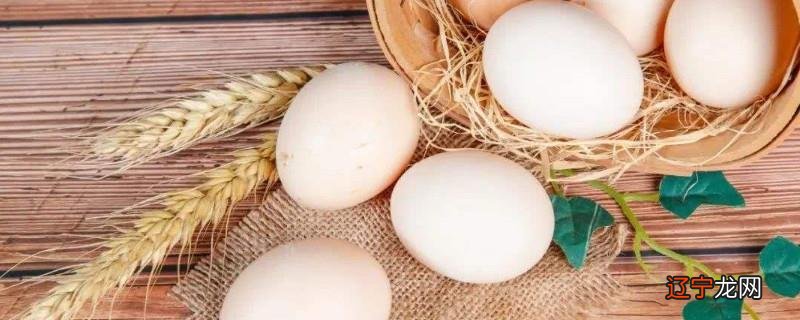 鹅蛋相克的食物