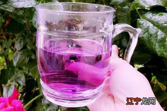 黑枸杞泡水一次放几粒