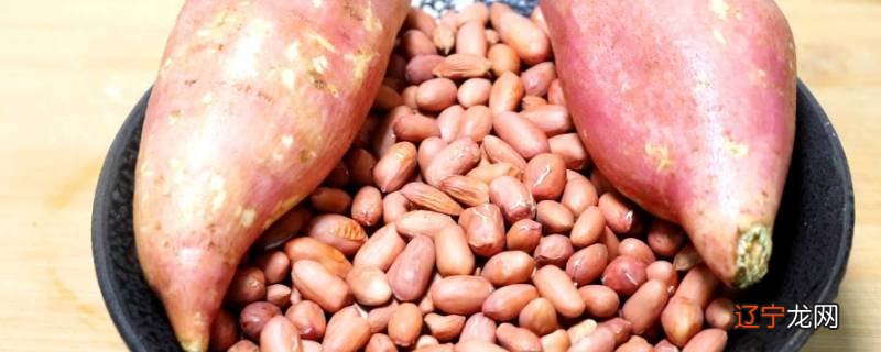 长在地底下的食物有哪些