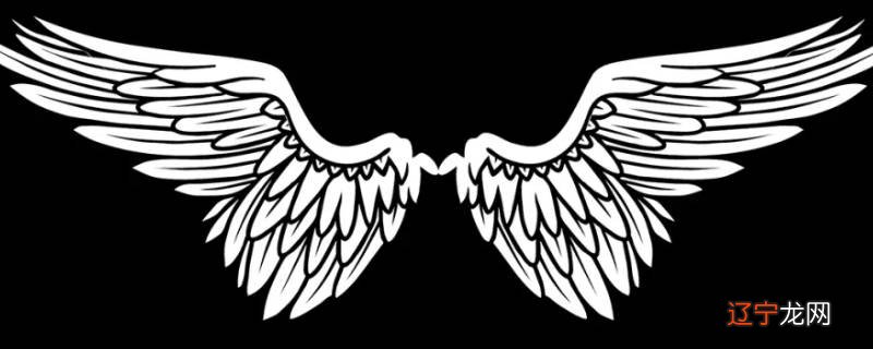 翅膀的寓意和象征