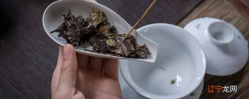 茶饼怎么泡茶