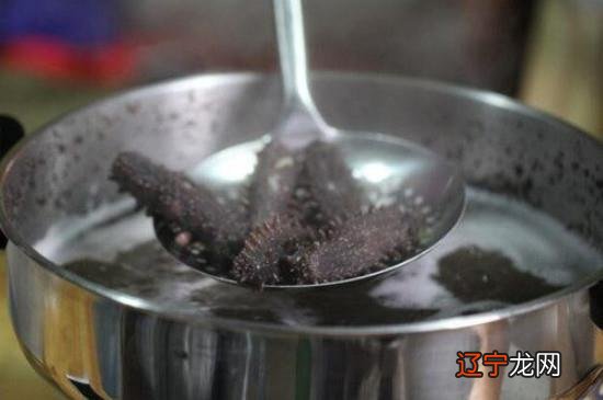 刚买回来的海参怎么处理