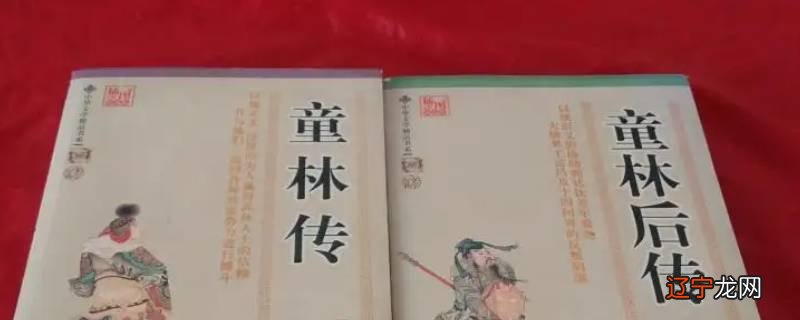 童林传中骷髅剑的来历