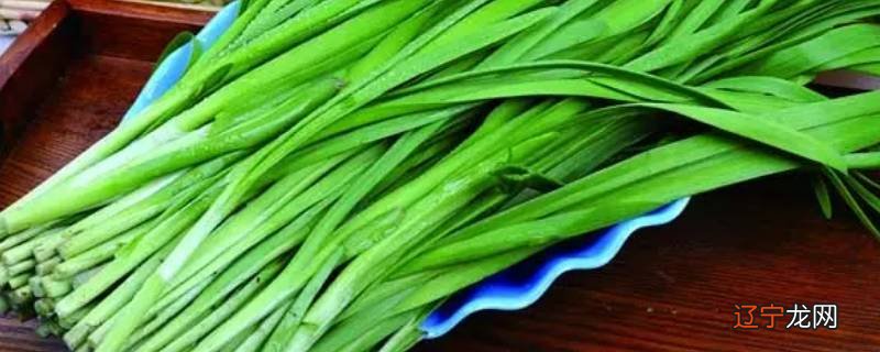 种过的韭菜地可以种小麦吗