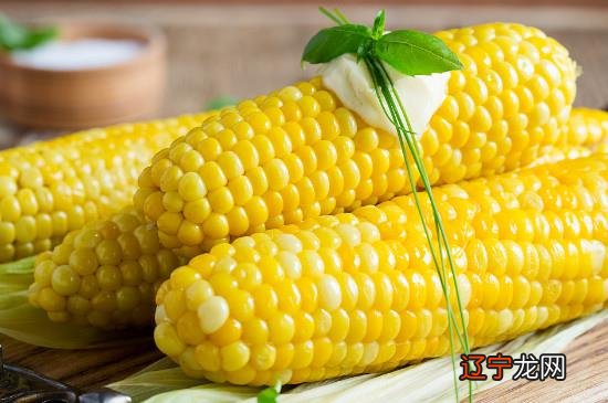 玉米棒子煮多久能熟