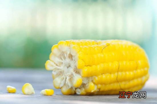 玉米棒子煮多久能熟