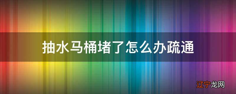抽水马桶堵了怎么办疏通