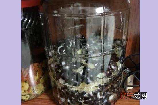 嘉宝果可以泡酒吗