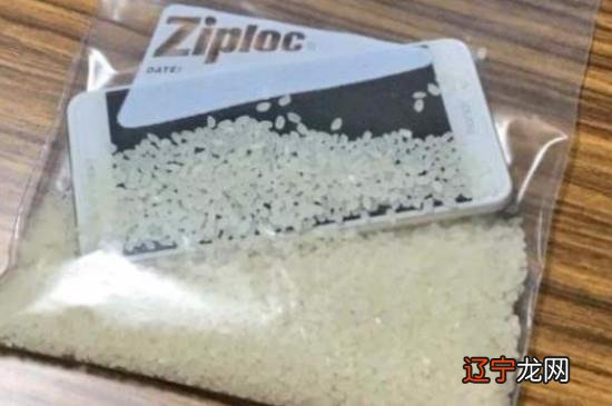 苹果手机掉水里怎么处理