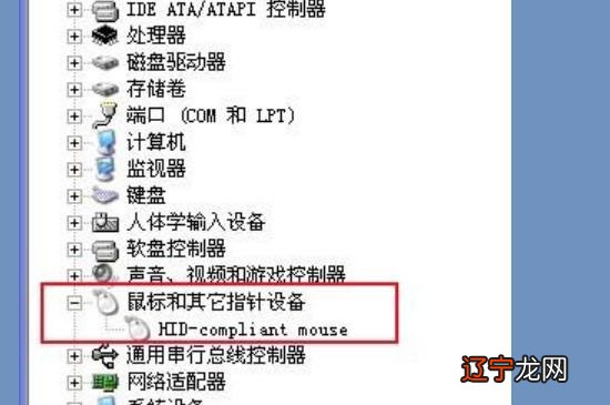 无线鼠标底部灯不亮