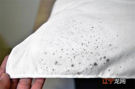 发霉的东西怎样才能洗掉