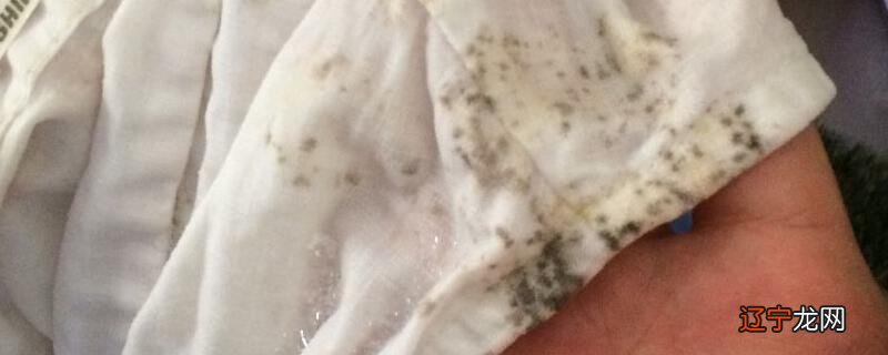 发霉的东西怎样才能洗掉