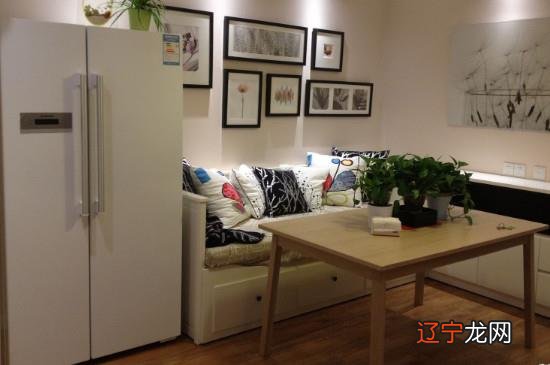 冰箱能放厨房吗