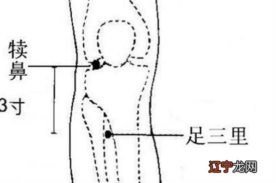 按摩哪个部位醒酒