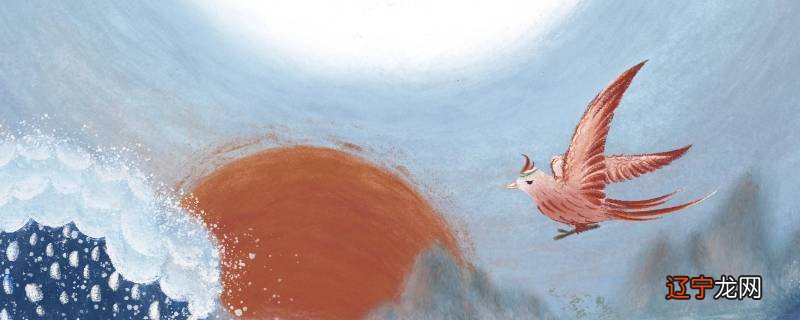 精卫填海中的女娃的特点