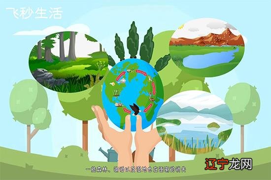 世界地球日是几月几日