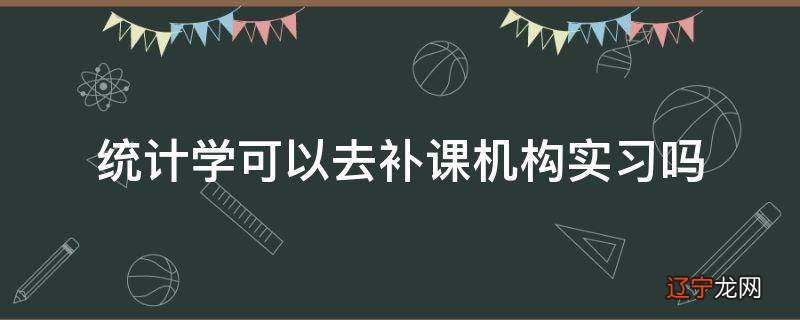 统计学可以去补课机构实习吗