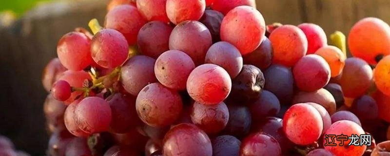 葡萄用盐洗的干净吗