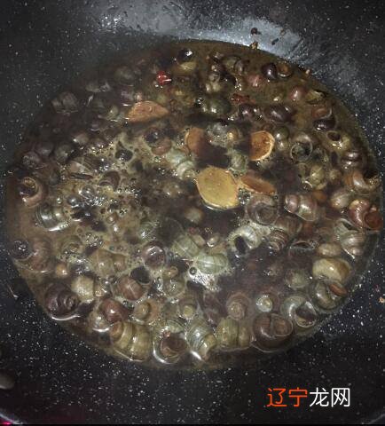 大田螺可以吃吗