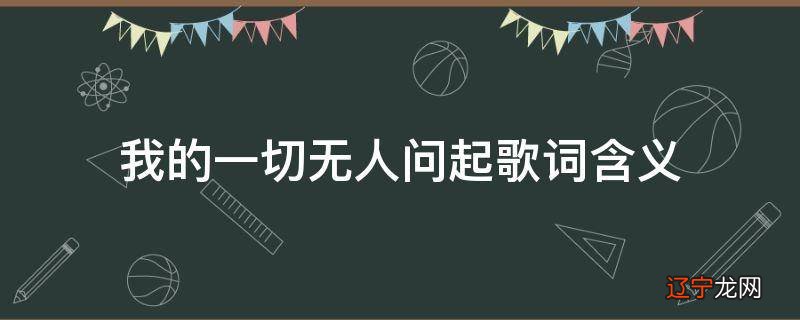 我的一切无人问起歌词含义