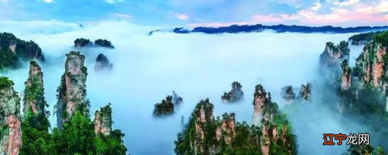 张家界至江西全南县多少公里