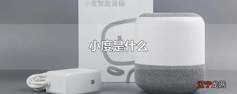 小度是什么