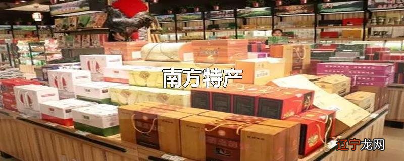 南方特产