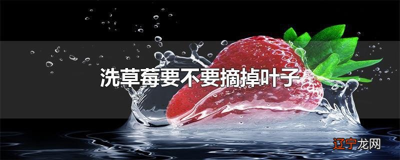 洗草莓要不要摘掉叶子