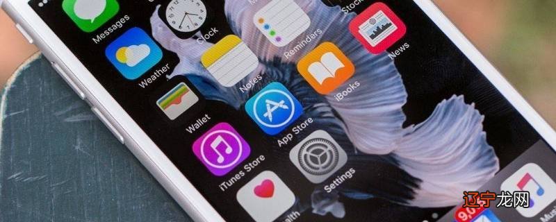 苹果手机换了指纹键自动关机