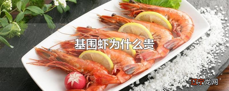基围虾为什么贵