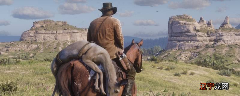 荒野大镖客2怎么拍马